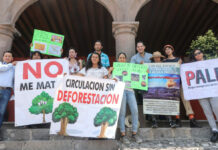 Vecinos de Amalucan piden no se talen árboles por distribuidor vial