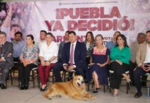 Alejandro Armenta se compromete a regular compra-venta de mascotas Armenta
