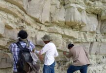 Laboratorio de Paleobiología BUAP estudia origen, evolución y extinción de flora y fauna de México BUAP