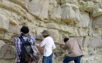 Laboratorio de Paleobiología BUAP estudia origen, evolución y extinción de flora y fauna de México BUAP