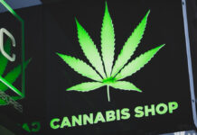 Venta de cannabis en EU genera 20 mil mdd en impuestos Cannabis