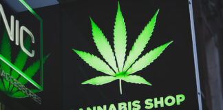 Venta de cannabis en EU genera 20 mil mdd en impuestos Cannabis