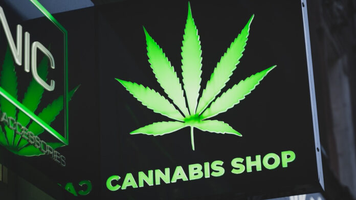 Cannabis