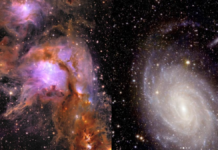 Sona Euclid capta las imágenes más grandes del cosmos