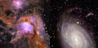 Sona Euclid capta las imágenes más grandes del cosmos