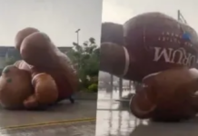Oso gigante sale volando por los cielos de Cuernavaca