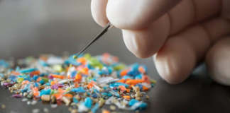 Estudio halla micro plásticos cancerígenos en testículos de hombres
