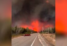 Incendio forestal causó desalojo de 6 mil habitantes en Canadá Incendio