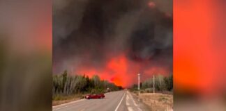 Incendio forestal causó desalojo de 6 mil habitantes en Canadá Incendio