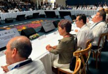 Asiste Lilia Cedillo Ramírez a la LXI Sesión Ordinaria del CUPIA Lilia Cedillo