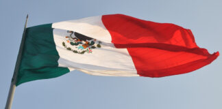 Izarán la bandera nacional durante marcha de la Marea Rosa Marea Rosa