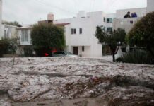 “Pensé en lanzarme desde el balcón con mis hijas”: Nora García, afectada por granizada del viernes Nora García