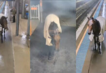 Captan a caballo con ropa en estación de tren en Australia