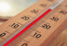 Segunda ola de calor afectará a 19 estados, alerta SMN SMN
