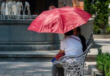 Temperaturas superiores a 45 grados Celsius, prevén en 19 entidades Temperaturas