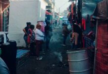 Enjambre de abejas ataca a personas en tianguis de Texmelucan Abejas