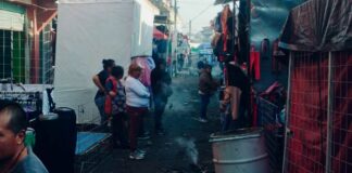 Enjambre de abejas ataca a personas en tianguis de Texmelucan Abejas