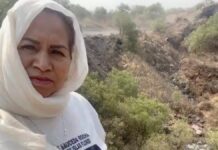 Madres buscadoras hallan crematorio clandestino en CDMX