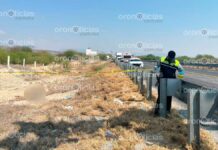 Hallan cadáver de hombre junto a la Cuacnopalan-Oaxaca, en Miahuatlán cadáver