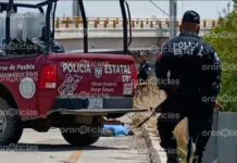 Dejan cuerpo de hombre en la lateral de Periférico, en Amozoc cuerpo