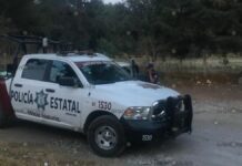Hallan pierna humana en colonia Bosques de Santa Anita
