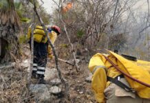 Suspenden clases en Guerrero por contaminación de incendios