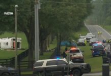 AMLO confirma muerte de ocho trabajadores mexicanos en Florida