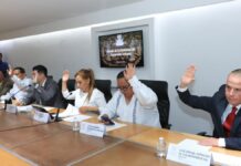 Defiende Congreso Constitucionalidad de la Ley de Movilidad y Seguridad Vial