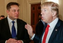 Trump incluiría a Elon Musk en equipo de trabajo si gana presidencia