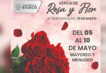 Plazuela de Santa Rita contará con más de 3 mil toneladas de rosas