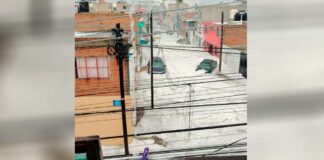 Granizada cubre de blanco la Ciudad de Puebla; hay árboles caídos granizada