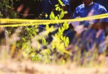 Perro encuentra hueso humano en barranca de Atlixco Hueso