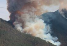 Autoridades de Tetela y Aquixtla recibirán apoyo en denuncias contra responsables de incendios incendios