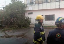 ¡Otra vez! Lluvia y granizo derriban árboles en Puebla capital y Texmelucan Puebla