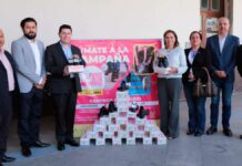 Generan SEDIF y UTP sinergias a favor de familias y comunidad universitaria SEDIF