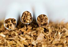OMS pide proteger a jóvenes del tabaco y cigarros electrónicos Tabaco