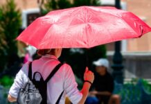 Registran temperaturas superiores a 40 °C en 23 estados Temperaturas