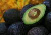 EU suspende importación de aguacate de Michoacán