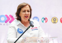 Ana Teresa Aranda definirá método de selección para dirigencia nacional del PAN