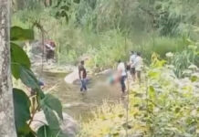 Difunden videos de alcalde de Zapotitlán sobre presunta participación en ejecución