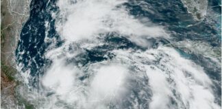 Sube probabilidad de formación ciclónica en Golfo de México