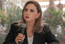 Paola Angon “levanta la mano” para la dirigencia del PAN en Puebla