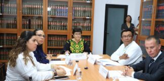 Avala Comisión del Congreso, establecer lenguaje incluyente en Ley de Entidades Paraestatales