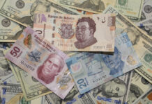 Peso se deprecia ante expectativa de triunfo de Trump Dólar