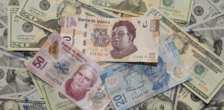 Peso se deprecia ante expectativa de triunfo de Trump Dólar