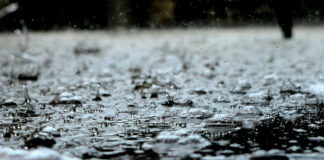 Suspenden clases en más de 5 mil escuelas de Puebla por tormenta tropical “Jerry”