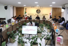 Puebla supera promedio nacional de participación en elecciones: INE