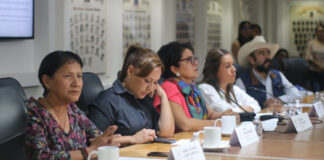 Aprueban en Congreso dictamen de la Ley de Salud Mental y Adicciones