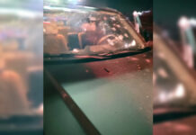 Asesinan a balazos a conductor de camioneta en San Martín Texmelucan