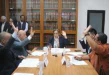 Avala Comisión del Congreso exhorto para promover e incentivar implementación de azoteas verdes